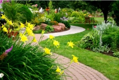 Lawns & Planting